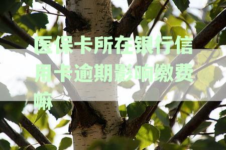 医保卡所在银行信用卡逾期影响缴费嘛知乎求解