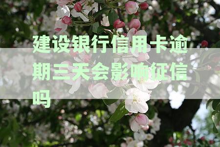 建设银行信用卡逾期三天会影响征信吗？逾期四天有影响吗？