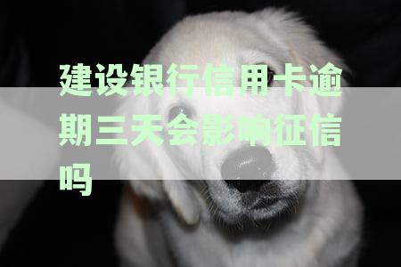 建设银行信用卡逾期四天有没有影响征信、房贷和贷款？-建设银行信用卡 逾期四天有没有影响?