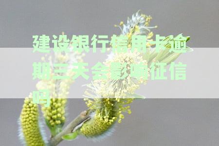 建设银行信用卡3天宽限期：逾期处理及征信时机