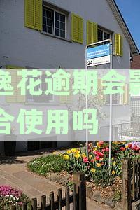 安逸花逾期会不会影响支付宝使用，信用卡额度也受影响吗？