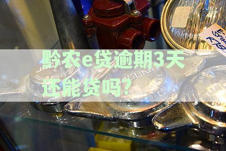 黔农e贷逾期了1天怎么办？逾期3天还能贷吗？