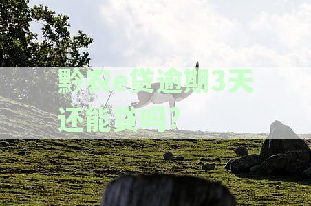黔农e贷逾期几天还了为什么贷不了啦