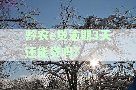 黔农e贷利息逾期一天怎么办？