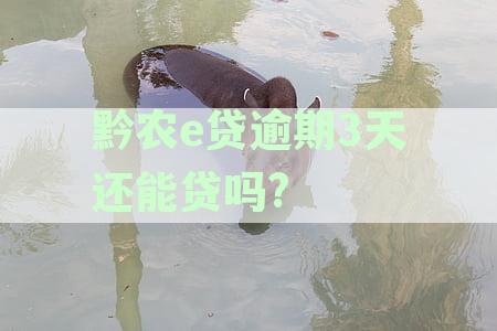 黔农e贷逾期一天,还了还显示逾期解决方法