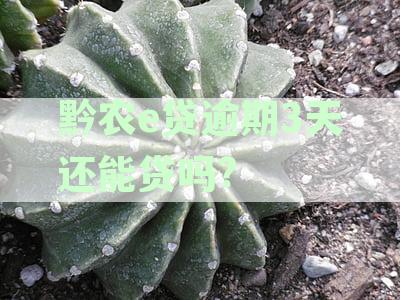 黔农e贷逾期3天还能贷吗?