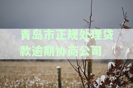 青岛贷款服务咨询，当场拿钱，利息低，办理快，随借随还：一站式解决您的资金需求