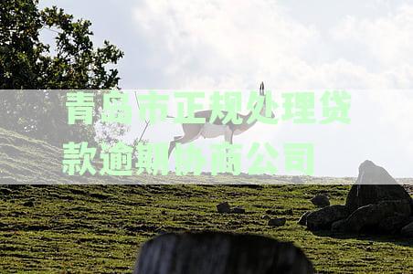 青岛信贷公司排名、合作银行、办公地址