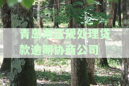 青岛金融贷款公司推荐