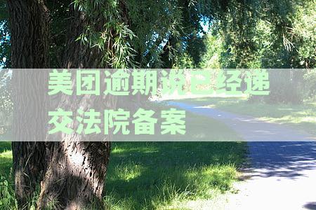 美团逾期说已经递交法院备案