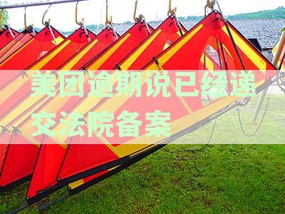 美团逾期说已经递交法院备案
