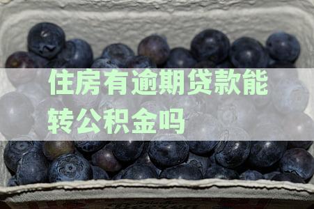 房贷逾期影响提取住房公积金吗？