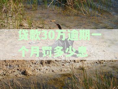 30万贷款逾期三年需要交多少利息费