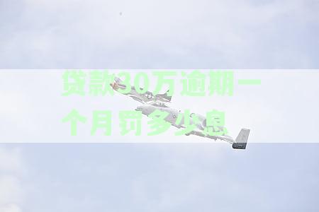 贷款银行三十万逾期还不上怎么办？
