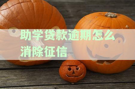 助学贷款逾期怎么消除征信