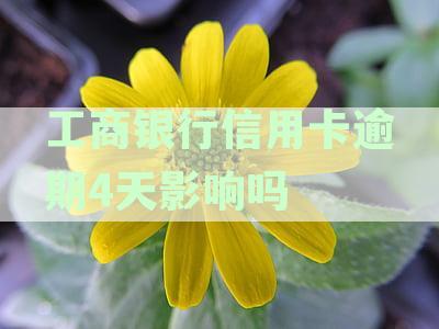 工商银行信用卡逾期4天影响吗还款怎么办？