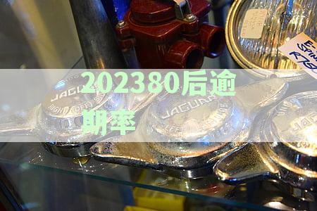 2021年逾期的人多么？