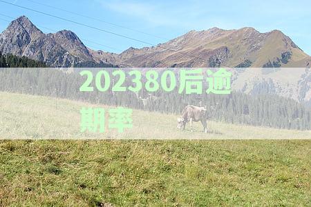 逾期率飙升: 解析全球金融市场中的信贷挑战