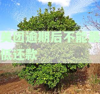 美团逾期后不能最低还款