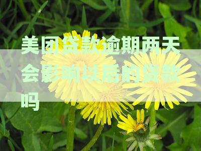 美团贷款逾期两天会影响以后的贷款吗？如何处理？