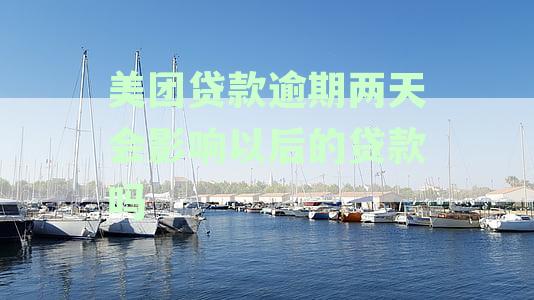 美团贷款逾期一天会影响以后的贷款吗？