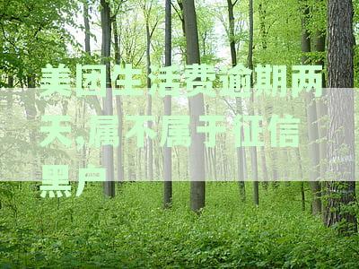 美团生活费逾期两天，征信黑户吗？