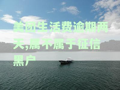 美团生活费逾期一两天有没有问题