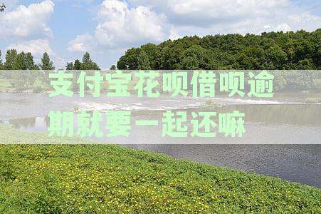 支付宝花呗和借呗都逾期了还能借钱吗安全