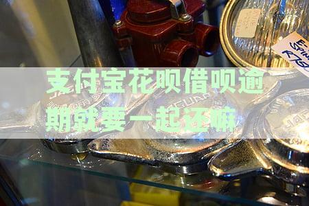 支付宝花呗借呗逾期就要一起还嘛