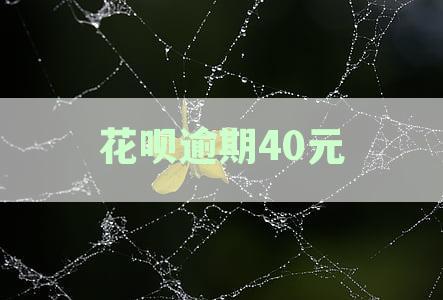 花呗逾期40元6天忘记还了解冻时间