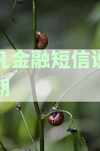菲凡金融短信说我逾期是真的吗？
