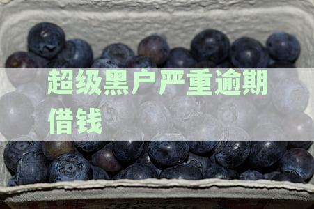 超级黑户严重逾期借钱高风险5000高风
