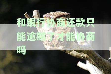 和银行协商还款只能逾期了才能协商吗