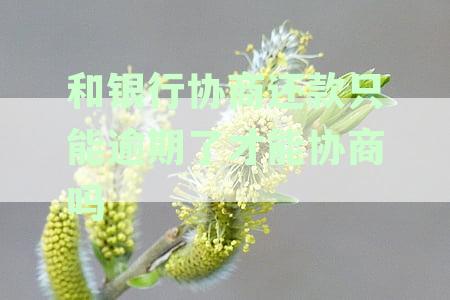 和银行协商还款只能逾期了才能协商吗
