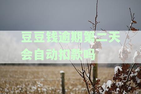 豆豆钱逾期第三天还款了，还影响征信吗：信用记录是否会受影响