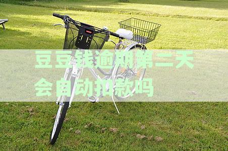 豆豆钱逾期第二天会自动扣款吗