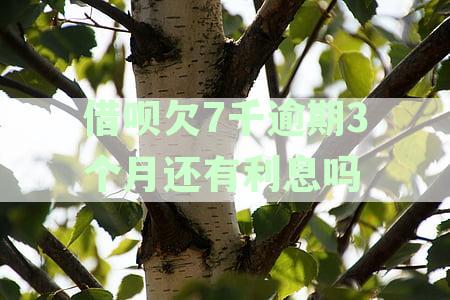 借呗欠7千逾期3个月还有利息吗