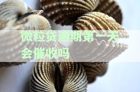 微粒贷逾期1天会打电话吗？逾期一天催收怎么办？