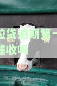 微粒贷逾期一天,第二天自动扣款情况解析