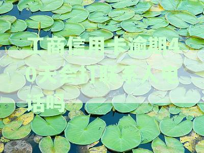 工商信用卡逾期40天会打联系人电话吗