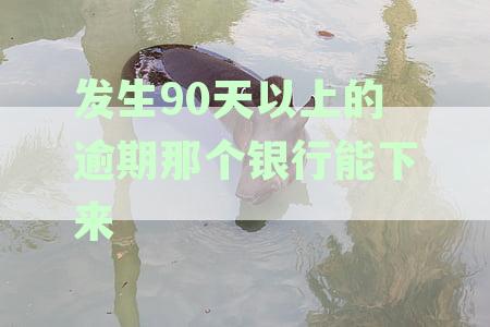 发生过90天逾期账户记录多久消除 对贷款买车影响分析