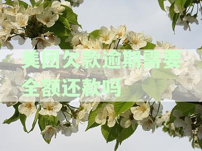 美团欠款逾期需要全额还款吗怎么办？如何处理逾期款？