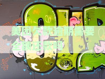 美团欠款逾期需全额还款吗？解决逾期欠款的方法分析
