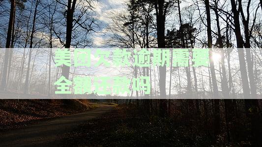 美团逾期被要求还全款是套路吗？已还逾期但仍要求全额还款合理性分析