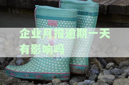 企业月报逾期怎么办？逾期办理指南