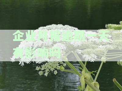 企业月申报逾期1天会怎么样：如何处理纳税申报逾期问题