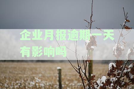 企业月报必须按时报吗？了解其必要性与编写要点