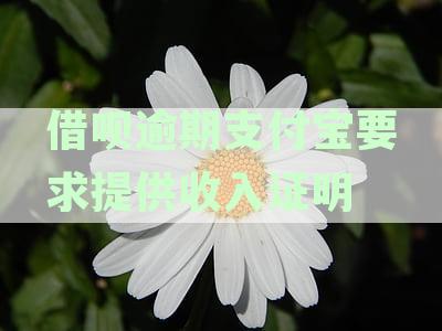 借呗逾期支付宝要求提供收入证明怎么办？