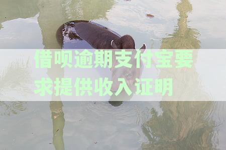 支付宝借呗逾期后要求查收材料是真的吗？该如何处理？
