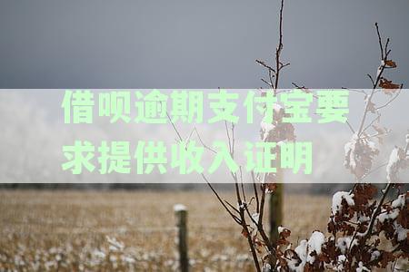 借呗逾期支付宝要求提供收入证明